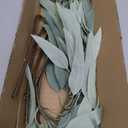 Faux Eucalyptus Stems Willow Eucalyptus Leaves 34 Long Fake Salix Leaves 3 Pcs Artificial Greenery Stems for DIY Bouquet Arrangements Centerpieces Shower Decorations-Artificial Eucalyptus Stems