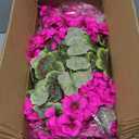 Lovemoon 16 Pcs Artificial Geranium Plant Realistic Silk Flowers for Outside UV Resistant Faux Geraniums Flowers for Indoor Outdoor Home Garden Office Decoration (16, Rose Red)