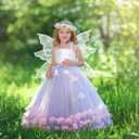 Lizxun Fairy Wings for Women Girls Butterfly Fairy Wings for Sparkle Princess Wings Halloween Cosplay Costumes Party Favor (One Size, Silver)