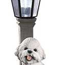 Bits and Pieces - Solar Dog Lantern-Solar Powered Garden Lantern - Resin Dog Sculpture with LED Light (Bichon) - 13.5" Tall