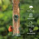 MIXXIDEA 2PK Metal Bird Feeders with 6 Feeding Ports,Tube Bird Feeder with Steel Hanger,Wild Bird Feeder for Outdoors Hanging, Attracting Birds in Your Lawn, Garden, Balcony (Green)