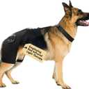 Dog Hip Brace with Red Infrared Light Therapy Pain Relief for Arthritis, Hip Dysplasia, Spine Issues & Muscle Recovery, Portable & Cordless, Patent Pending (Male Dog, XXL) 