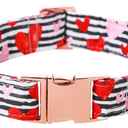 Lionet Paws Boy Dog Collar, Comfortable Adjustable Cute Blue Plaid Collar with Metal Buckle for Male Dogs, Medium, Neck 13.5-22 inches