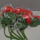Alupssuc 16Pcs Artificial Geranium Flowers for Outdoors Decoration Silk Floral, UV Resistant Fake Plants, Faux Flower for Porch Garden Table Centerpieces Home Indoor Outside Spring Decor(16, Red)