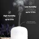 Essential Oil Diffuser - 2.4MHz Ultrasonic Glass Diffuser with Pulse/Continuous Mist & Night Light, Waterless Auto-Off, Silent Aromatherapy Diffuser for Home, Office, Yoga, Spa, Gifts & Home Decor.