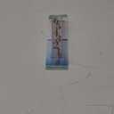 LaCrosse 705-110 Easy Read 6-Inch Patina Rain Gauge, Clear