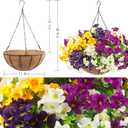 2 Set Artificial Outdoor Flowers with Hanging Baskets,24 Pcs UV Resistant Faux Petunias Flowers with Hanging Planter for Front Door Porch Spring Outside Decor (2, White,Yellow,Purple,RedViolet)