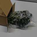 30pcs Faux Olive Leaves Stems 10 Tall Artificial Plants Olive Branches for Small Vase Tabletop Greenery Decor for Home Office Wedding Party (Vase Not Included)