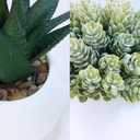 Winlyn Set of 3 Assorted Artificial Succulent Plants in White Concrete Pots Faux Aloe Hops String of Pearls Potted Plants Small Fake Plants for Home Garden Office Desk Counter Shelf Windowsill Decor