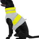 Dog Safety Reflective Vest, Pet Dog High Visibility Vest Safety Walking Costumes Glowing Jacket Lightweight Pet Night Safety Clothing Reflective Vest Zipper for Dogs, Medium