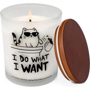 Cat Gifts for Pet Lovers - Funny Candle for Mom, Dad, Women and Men - Decor for Room, Bathroom, Home Office Desk Decorations, Crazy Cat Lady Things