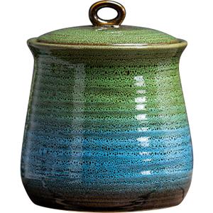 40 OZ Cookie Jar,Dog Treat Jar, Kitchen Canisters for Countertop for Food Storage Coffee, Tea,Flour, Beans, Spices, Nuts and More Ceramic Jar with Lid (Green and Blue)