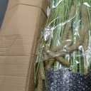 KOL Artificial 5ft 2-Pack Horsetail Reed Grass, 59in Tall Artificial Indoor Outdoor Fake Grass Plant, Home Office Decorative Artificial Plants in Pot Faux Plant Greenery, Wedding Decor