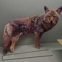 Bird-X 2D Hunting Coyote Predator Decoy - Targets Canada Geese, Deer and Rabbits Deterrent, Yard Ornament