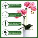 2 x Plant Support Stakes for Indoor - 15pcs Garden Sticks with 3 Adjustable Heights for Monstera/Orchid/Pepper/Flower, Plants Holder Pole with 6 Clips