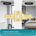 2 Pack Door Handles Gold Interior Door Handle for Bedroom & Bathroom, Keyless Privacy Door Levers, Modern Square Door Handles