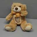 Libima 12 Inch Remembrance Bear Plush Stuffed Animal with Voice Recorder Soft Plush Animal Toy with a Picture Frame Bear Hugs Memorial Gift for Baby Shower Birthday Party Christmas Wedding Decorations