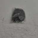 Pluvios - 12" (30CM) Bungee Cords with Hooks Heavy Duty Outdoor - 10 Pack  Choice of Sizes - Multi-Purpose Elastic Bungee Straps for Luggage, Camping - Weatherproof & UV