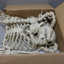 84Inches/7Ft Mermaid Halloween Life Size Skeleton Pose-N-Stay Posable Movable Joints Hanging for Halloween Decoration Decor Spooky Scene Party Favors