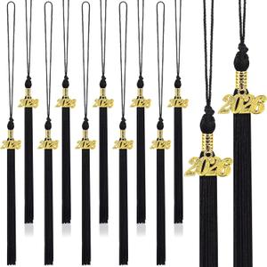 2026 Graduation Tassels, 10Pcs Graduation Cap Tassels 2026 Grad Graduation Tassels for 2026 Graduation Ceremonies Accessories (Black)