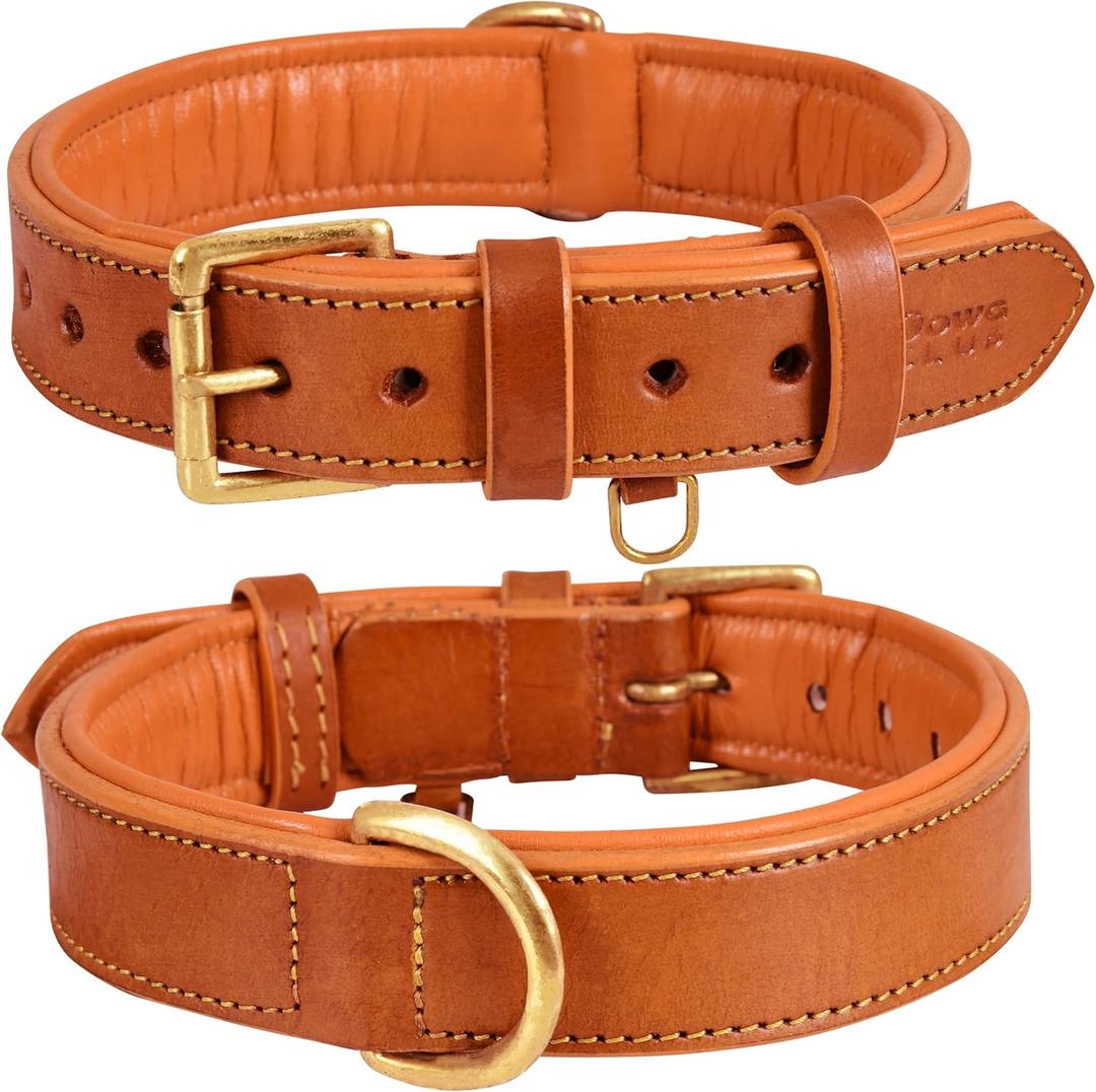 Genuine Leather Dog Collar | Full Grain, Heavy Duty | Comfortable, Padded, Strong | Best for Pups, Small, Medium, Large & XL Breeds, X-Large, Fit Neck Size 22"-26", Tangerine Orange