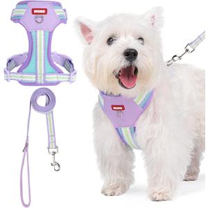No Pull Dog Harness and Leash Set,Adjustable Dog Vest Harness for Small Medium Large Size Dogs,Breathable and Soft Escape-Proof Puppy Harness with 2 Buckles (Purple)