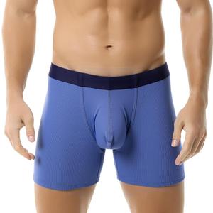Evankin Men's Boxer Brief Underwear Ice Silk Mesh See Through Underpants Sports Extended Anti Crotch Shorts Running (Blue, L)