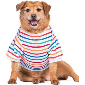 The Dodo Striped Crewneck Sweatshirt for Dogs, Size Extra Small, Everyday Apparel for Dogs, Cute Dog Tee, Cute Clothes (Multicolor)