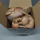 Lenwen 5 Pcs Bearded Dragon Stuffed Animal Set Easter Earth Day Gifts 26 Inch Large Lizard Iguana Plush Toy with 4 Baby Lizards, Simulation Plushies for Boy Girl Birthday Pet Party Favor(Brown)