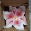 SNAIL GARDEN 24PCS 5.5" Large Fake Lilies Flower Heads with Realistic Stamens,24PCS Pink Artificial Flower Heads, Bulk Silk Flowers for Crafts, Cake Decorating, Wedding Party Wreath, Home Decor