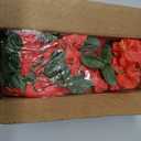 Artificial Flowers for Outdoors 2 Bundles of UV-Resistant Artificial Bougainvillea, Realistic Silk Flowers for Front Porch, Patio, Garden, Window Boxes & Hanging Baskets (Red,2)
