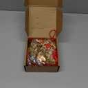 12 Pack Horse Year Feng Shui Coins Set - 2026 Chinese New Year Horse Charms Lucky Chinese Coins with Red Hanging Tassels, Wealth Good Fortune Amulet for Home Office Decoration (Golden)