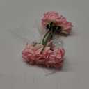 5Pcs Light Pink Real Touch Artificial Silk Flowers with Stems - Lifelike Latex Austin Rose Peony for Wedding Bouquets, Home Decor, DIY Floral Arrangements