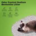Bentonite Litter Sodium Mineral Cat Litter Clumping, Odor Control Kitty Litter for Self Cleaning Box & Automatic Litter Box, Dust Free, Strong Durability, 10 lb