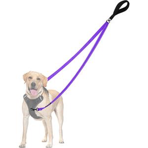 PetBonus Two Point Control Dog Leash, Works with No Pull Harnesses, No Tangle Dog Training Leashes, No Pull Padded and Reflective Walking Lead, Converts to Single Leash for Medium Large Dogs (Purple)