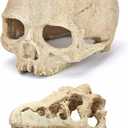 Desert Reptile Skull Fish Tank Decorations - Bearded Dragon Accessories, Snake Tank Decor (Human + Dinosaur)
