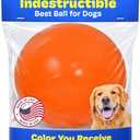 Doggie Dooley Virtually Indestructible Dog Ball - 6 Inch Hard Plastic Interactive Dog Toy for Large Breeds Over 15-50 lbs - Built for Herding & Push Play -Floats in Water, Made in USA