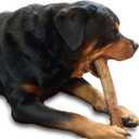 Neem Stick for Dog Chew, 100% Organic, Natural Toothpaste, Teething, Dental Care, (Medium Dog 22-44LBs, Pack of 3 Pieces)