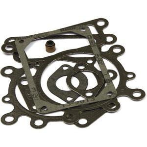 Briggs & Stratton 794152 Valve Gasket Set Replaces 690190 , Black