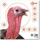 3 x Allen Company EZ Aim Paper Shooting Target Turkey Target by Allen, 12 inch x 12 inch, 6 Pack, Multicolor, One Size (15322)
