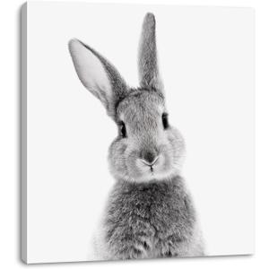2 x daktenn Bunny Wall Art Lovely Rabbit Posters for Baby Room Easter Artwork Nursery Wall Decor Easter Wall Art Rabbit Pictures Wall Decor Bunny Pictures for Bathroom Bedroom 14x14 Inches