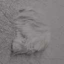 S-noilite Unisex Short White Cosplay Wigs Fluffy Shaggy Wig Short Straight Pixie Wigs for Women Mens for Anime Party Comic Costume Party Heat Resistant Synthetic Hair Wig White