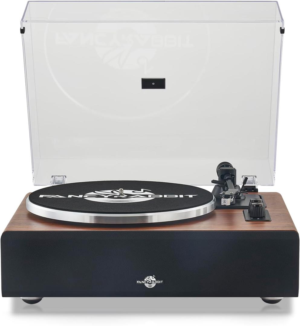 Record Player with Speaker, Vinyl Record Turntable with Magnetic Cartridge for Home Decoration and Entertainment, Vinyl Record Player Suitable for Christmas or Birthday Gift (H2410-Rosewood)