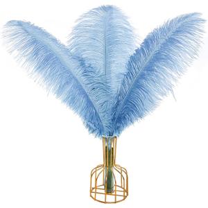 THARAHT Baby Blue Ostrich Feathers 12pcs Large Natural Bulk 16-18Inch 40cm-45cm for Wedding Party Centerpieces Easter Gatsbi and Home Decoration Feathers