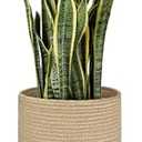 Dahey Jute Rope Plant Basket Modern Woven Storage Basket for 10.5" Indoor Planter, Decorative Flower Pots Cover Laundry Bin with Handle Rustic Home Decor, Beige