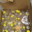 50 Pack Plastic Honey Bear Bottles Jars, 2 oz Honey Bear Cup with Lids Mini Bear Shape Empty Honey Bear Bottle Honey Containers Bulk Jam Juice Candy for Wedding Gifts Baby Shower Favors