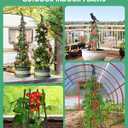 MYMULIKE 2Pack Garden Trellis for Climbing Plants Outdoor Indoor Pot 67'' Cucumber Trellis for Climbing Plant Support for Climbing Vegetables Plants Garden Obelisk Trellis Tomato cage & Climbing Rose