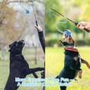 Flirt Pole for Dogs, Durable Dog Flirt Pole for Large Medium & Small Dogs, Interactive Dog Pole Toy with Rubber Ball for Outdoor/Indoor, Training, Chase, Tug of War (24 & 31 inch) (24.4in and 31.1in)