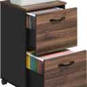VASAGLE 2-Drawer File Cabinet, Small Rolling Filing Cabinet for Home Office, Printer Stand, for A4, Letter-Size Documents, 15.7 x 16.5 x 27.6 Inches, Natural Walnut and Ink Black UOFC040K01