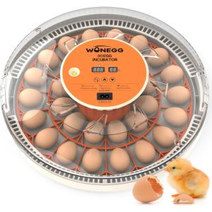 WONEGG Smart 30 Egg Incubator for Chicken Duck Quail - Auto Temperature Control, 360° Egg Turner, LED Candling, Humidity Monitor, for Home Use